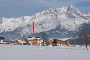 Penthousewohnung mit Garten Sauna Pool - Maishofen