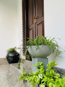 Sun White Villa