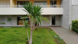 Green Park Ajuda Apartment