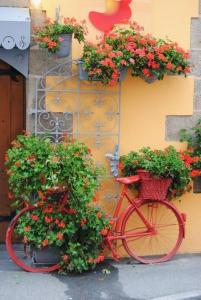 La Bastide des Vents d'Anges photo 6