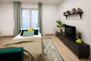 Old Riga Ridzenes Residence Design Apartments