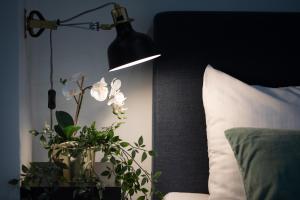 Old Riga Ridzenes Residence Design Apartments