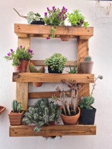 Beas Bed & Breakfast