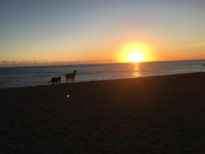 Relaxing townhouse in the heart of Bridport