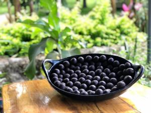 Alojamiento Rural Casa de Campo Erika Sofia