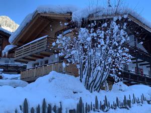 Chalet Tobià Apartments