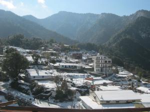 Janardan Resort Pangot Nainital