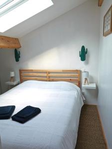 Appartements Charmante maisonnette au coeur de ville avec balcon - 70 m2 : photos des chambres