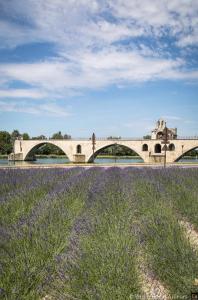 Maisons de vacances Location gite campagne en Provence - Vaucluse : photos des chambres