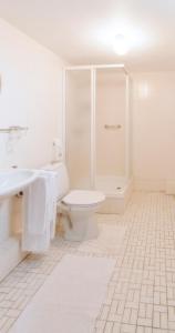 Hotel,Herberg & Appartementen de Smidse