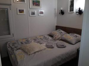 tiny house Sam Suffit photo 9