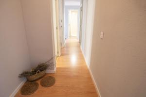 Apartamento Rural New Folch