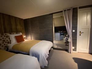 Agapanthus bed and breakfast