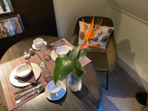 Agapanthus bed and breakfast