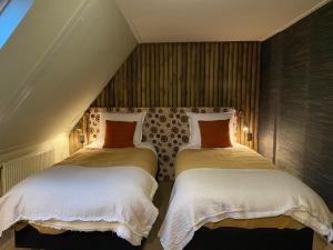 Agapanthus bed and breakfast