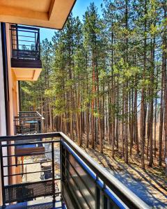 Zova Deluxe Apartment