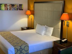 King Room - Non-Smoking room in Brentwood Inn & Suites