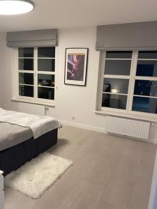 Modern old town apartment