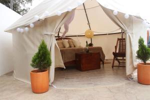 San Juan de los Guayabos