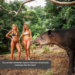 The Jaguars Jungle Rainforest Lodge -meals included