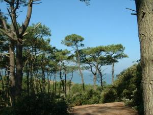 Appartements Cottages du Valcoquet : photos des chambres