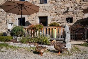 Maisons d'hotes Logis Les Granges de Bigose : photos des chambres