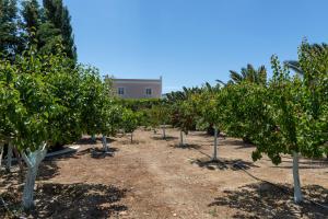 Casa Del Sol Syros Syros Greece