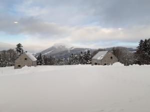 Chalets Les Burons du Mont-Dore : photos des chambres