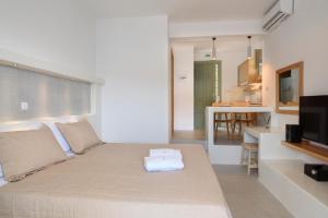 Theasis Suites Amorgos Greece