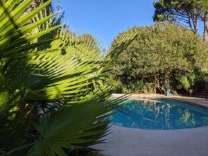 Appartements Mazet de L'Amandari : Appartement 1 Chambre