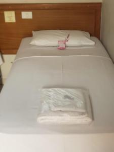 Pantanal Hotel