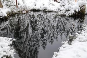 Apartment Location Les balcons de La Mauselaine