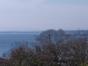 Cenário Catita Hostel