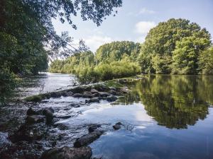 B&B / Chambres d'hotes Chateau Rieutort : photos des chambres