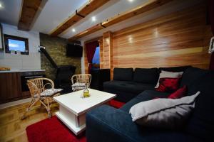 Tornik Brvnara Ljubojevic