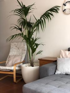 Vacations home Albufeira