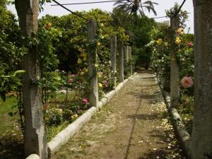 B&B Antico Aranceto