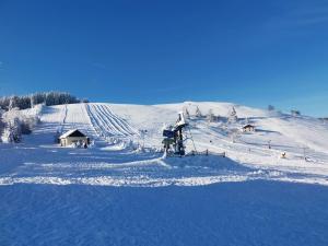 Chalets Le chalet du Brabant a 200 metres des pistes : photos des chambres