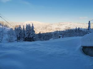 Chalets Le chalet du Brabant a 200 metres des pistes : photos des chambres