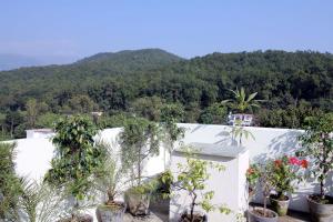 Hotel Forest Avenue - Best Luxury Hotel in Dehradun