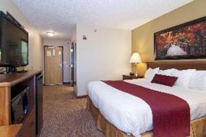 King Room with Sofa Bed - Non-Smoking room in Best Western Plus Albert Lea I-90/I-35 Hotel