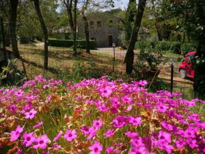 Agriturismo Il Cornalino