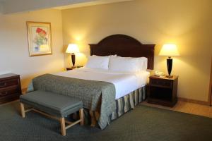 Holiday Inn Great Falls-Convention Center by IHG