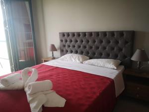 Ionion Apartments & Studios Lefkada Greece