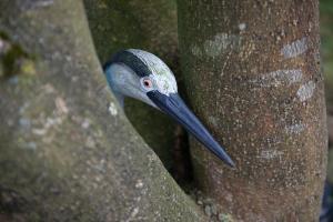 LHeure Bleue gîtes et chambres dhôtes