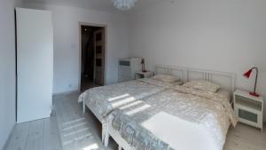 Super Central Apartment SIenna street