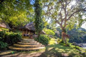 mfangano island lodge
