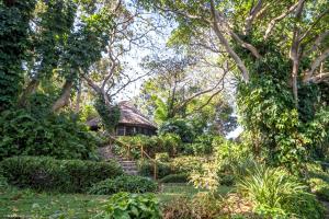mfangano island lodge