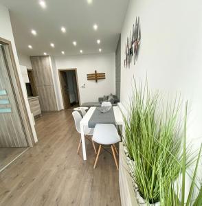 Főtér apartman II.