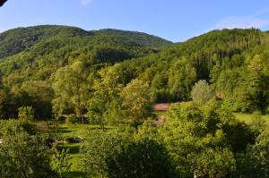 Котедж Любов